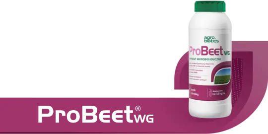 ProBeetWG
