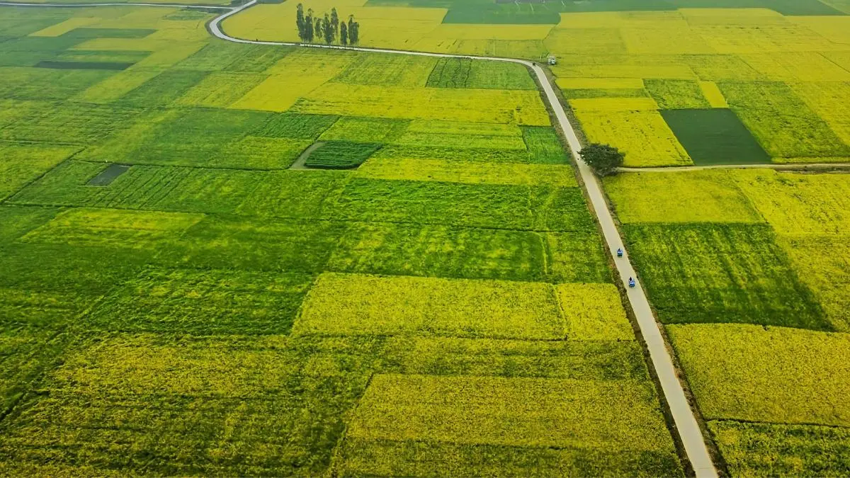 Czy jest rolnictwo regeneratywne i jakie są jego zasady?