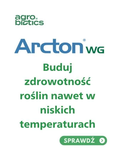 Temperatura a skuteczność fungicydów — co warto wiedzieć przed zabiegiem T1?