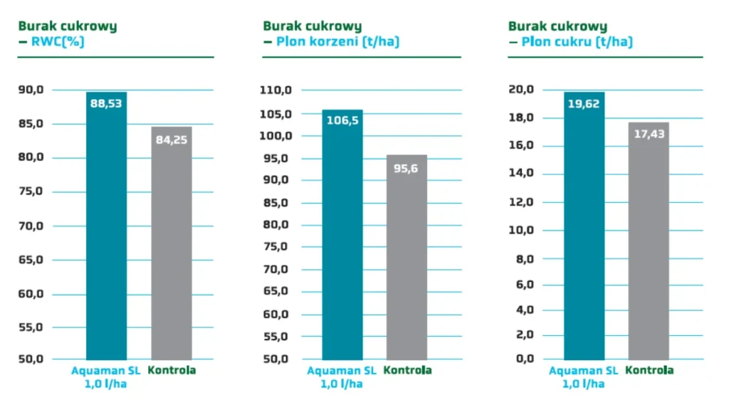 wykres aquaman - burak cukrowy