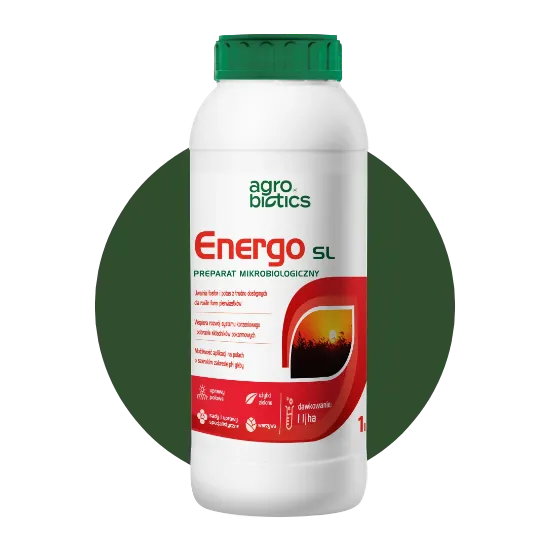 Energo SL