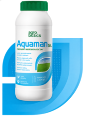 Aquaman SL
