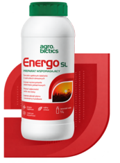 Energo SL